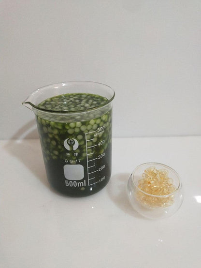 Green Juice VE Lip Balm - Nourishing Plant Lip Care highshinegirl